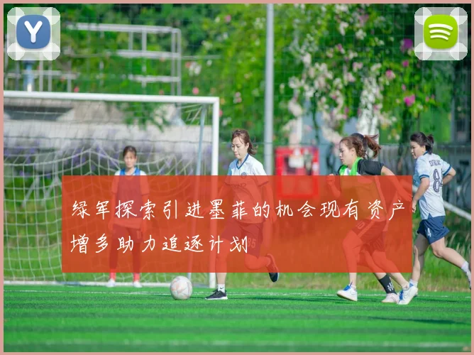 绿军探索引进墨菲的机会现有资产增多助力追逐计划